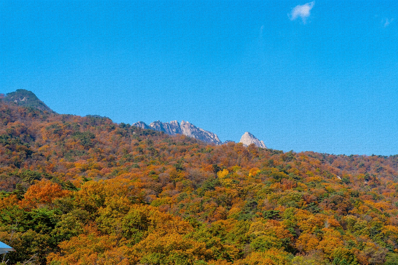 #autumn #12 DSC06519.jpg