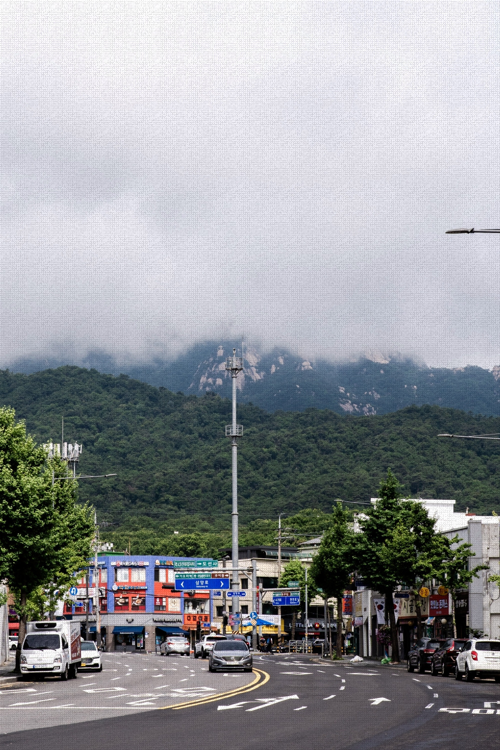 #winter #4 A7C00557.jpg