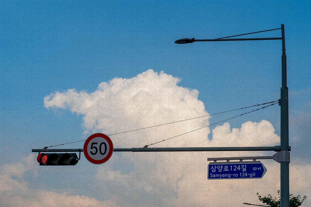 #summer #23 DSC05616.jpg