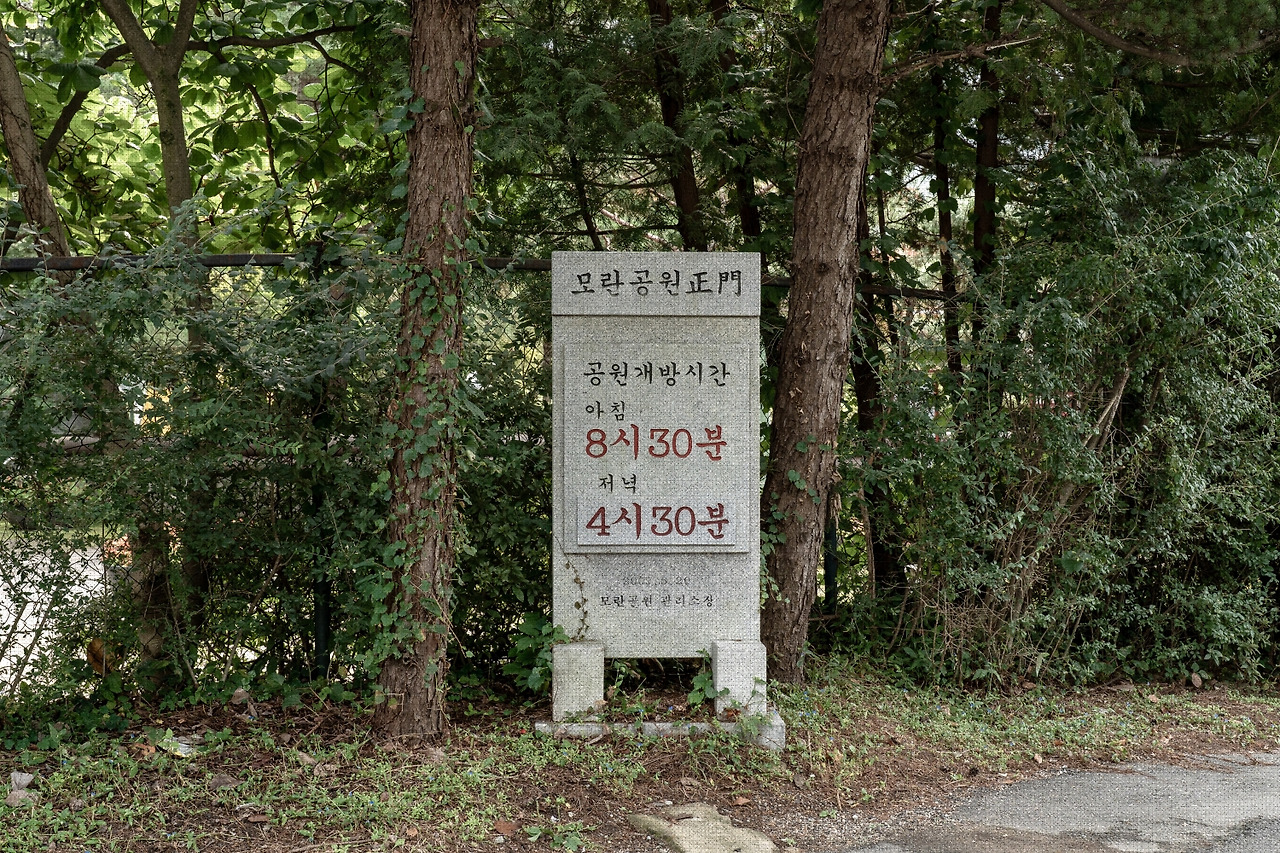 #autumn #4 DSC06175.jpg