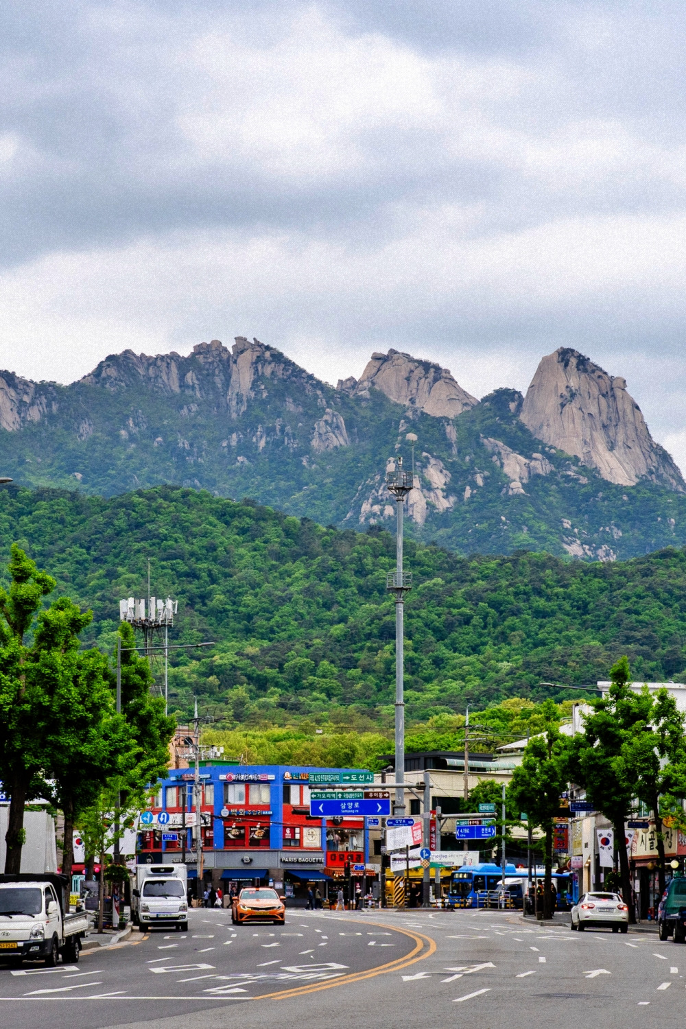 #spring #8 A7C00284.jpg