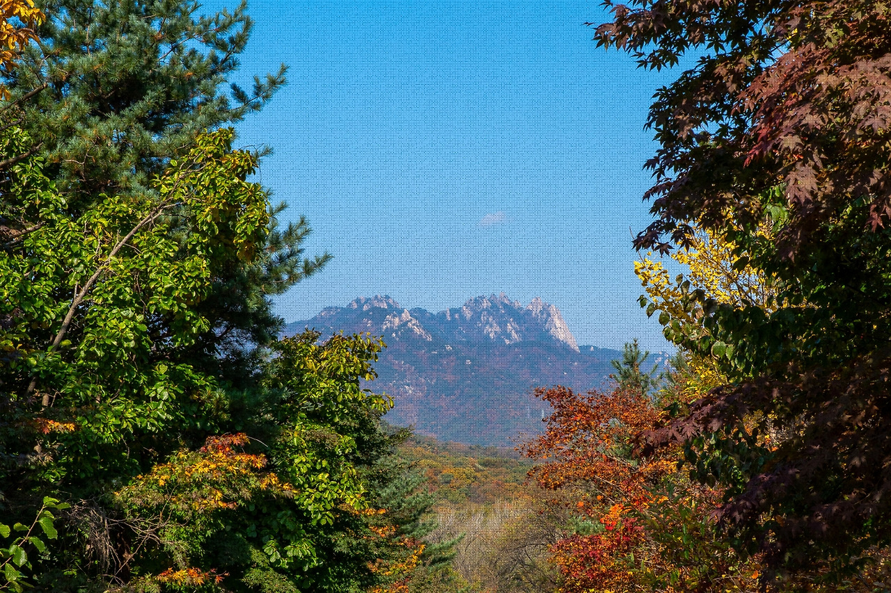 #autumn #12 DSC06536.jpg