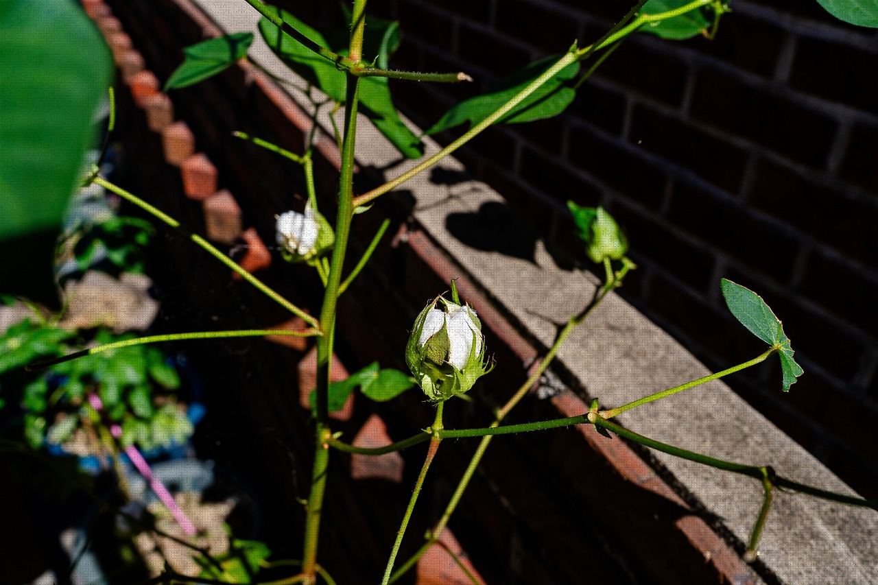 #autumn #14 A7C01055.jpg