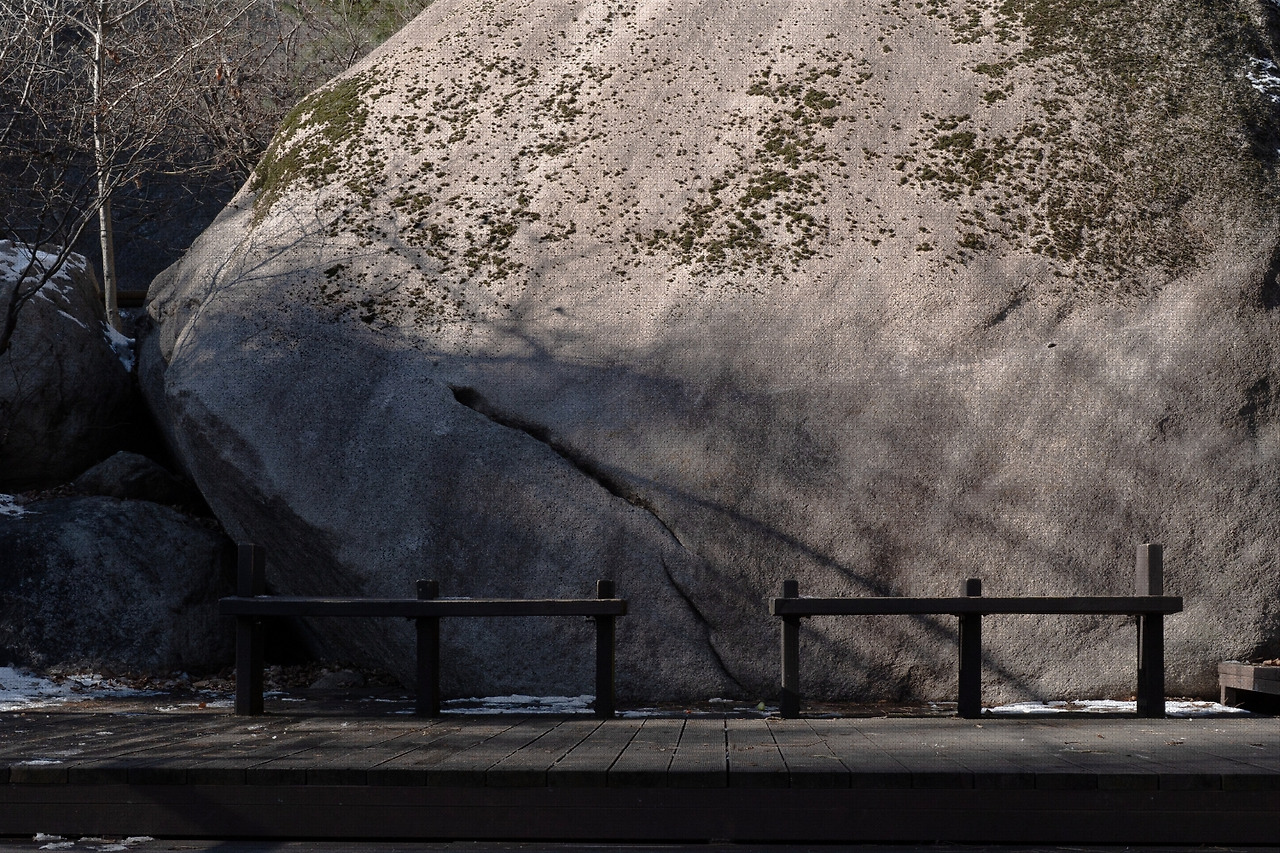 #winter #5 DSC07312.jpg