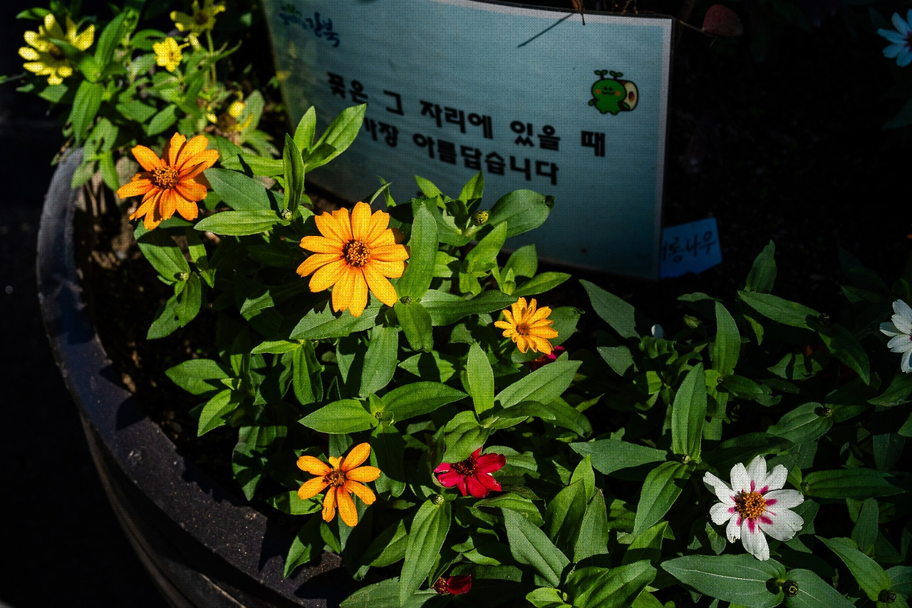 #autumn #14 A7C01131.jpg