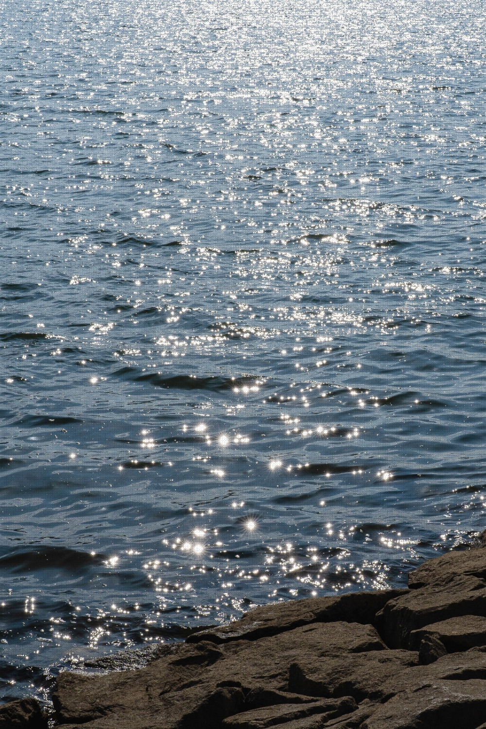 #winter #16 DSC07567-1.jpg