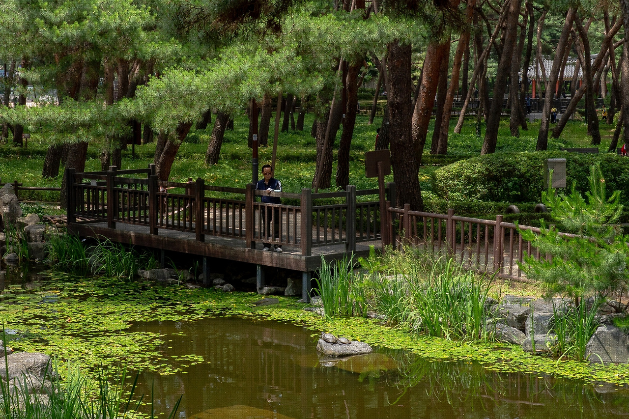 #summer #19 DSC05137.jpg