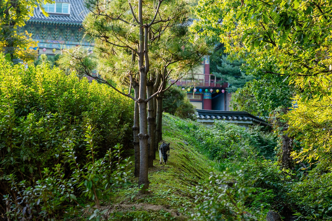 #autumn #25 DSC06297.jpg