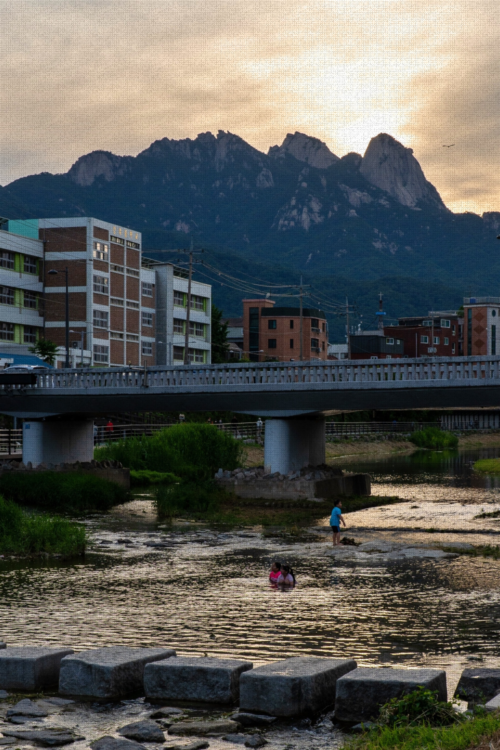 #summer #25 DSC04893.jpg