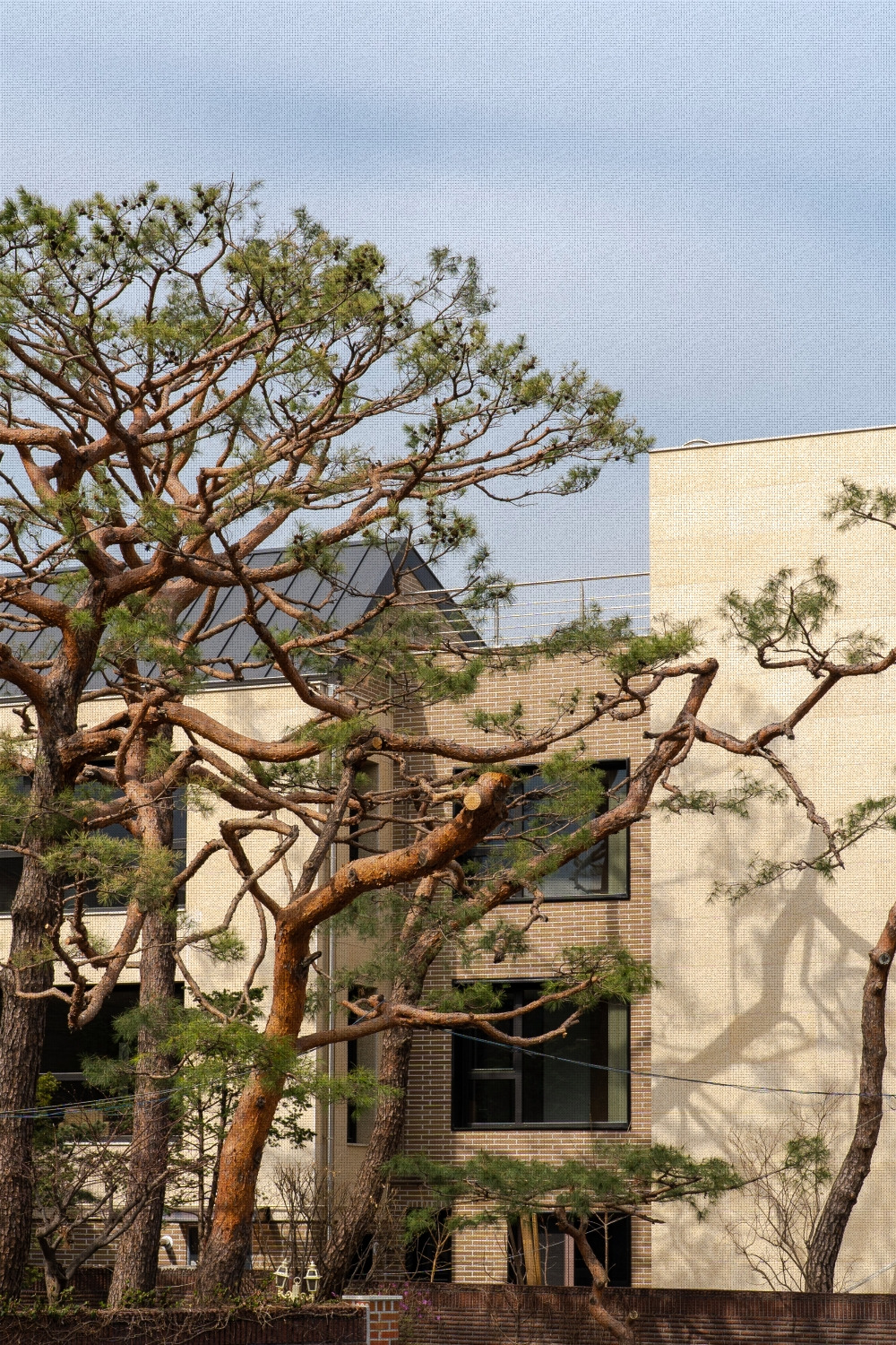 #spring #21 DSC03538.jpg