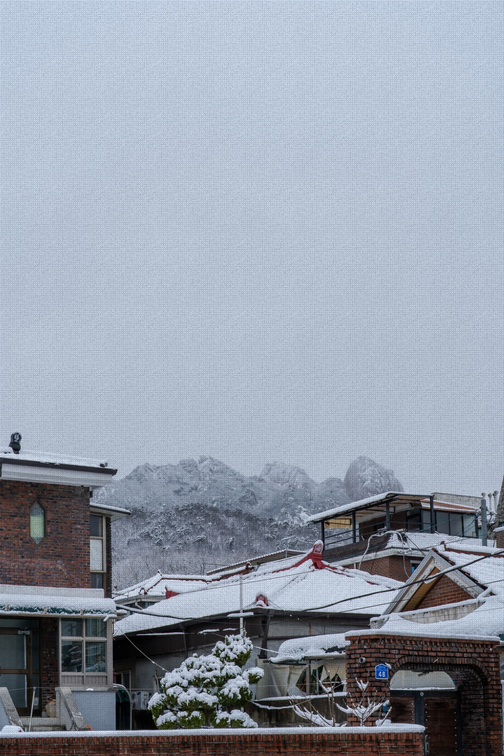 #winter #6 DSC07650.jpg