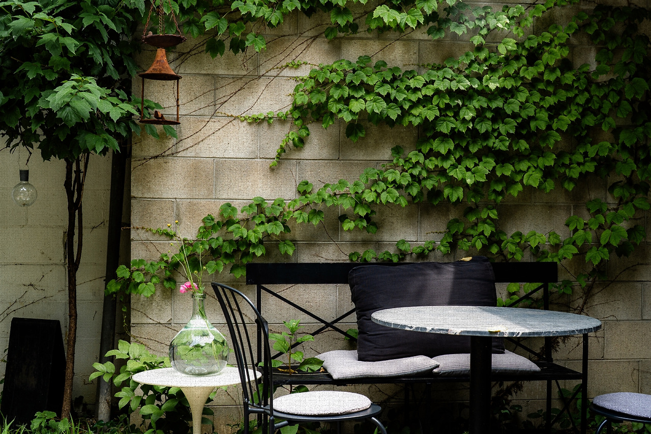 #summer #9 A7C03529.jpg