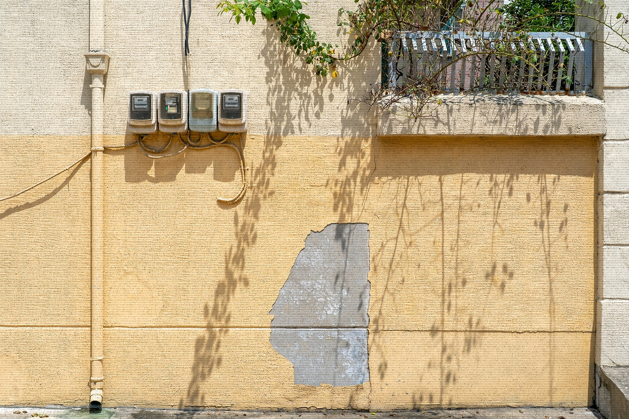 #spring #1 DSC05514.jpg