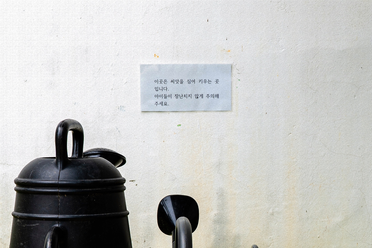 #summer #9 A7C03532.jpg