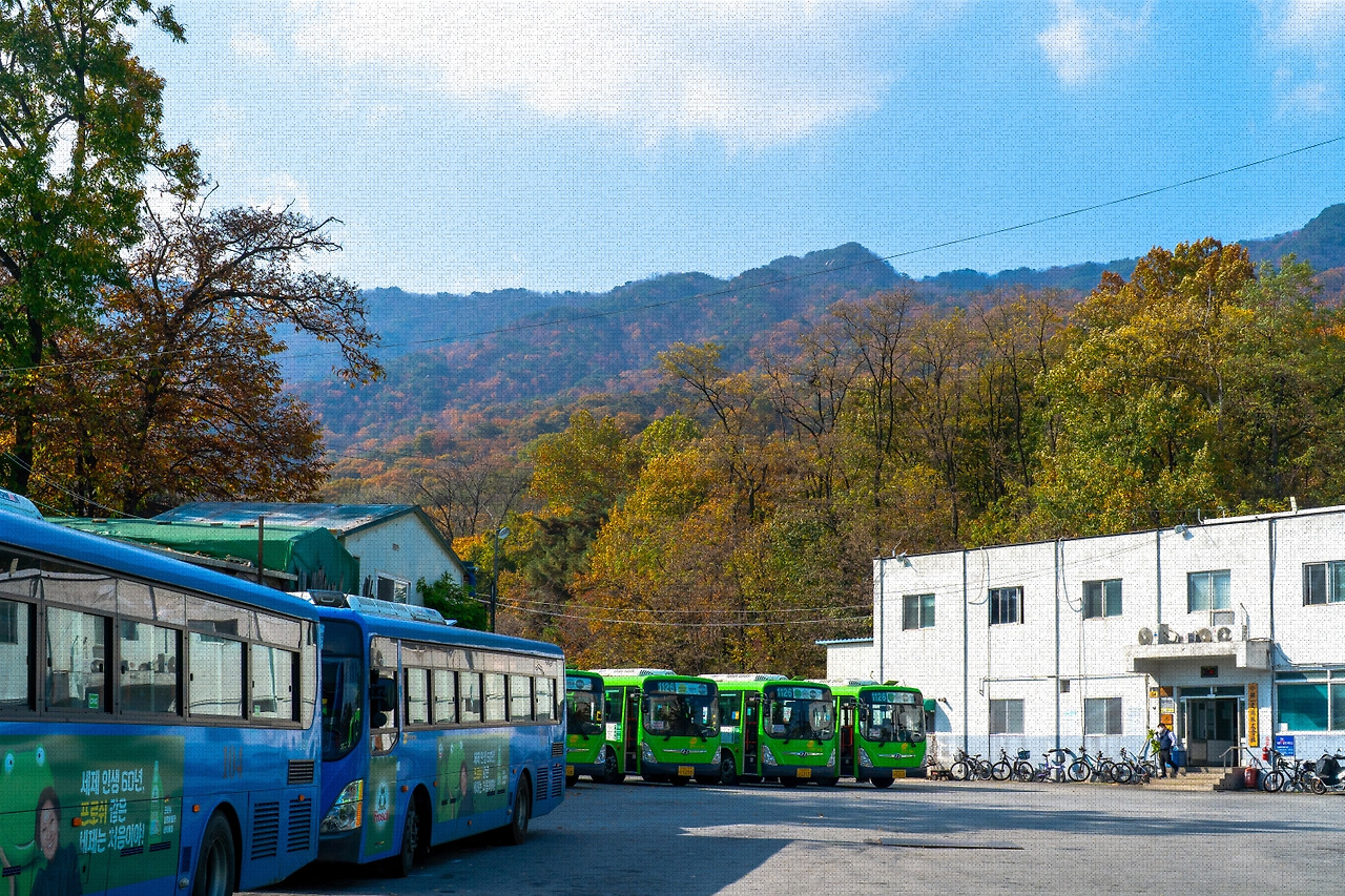 #autumn #21 DSC06492.jpg