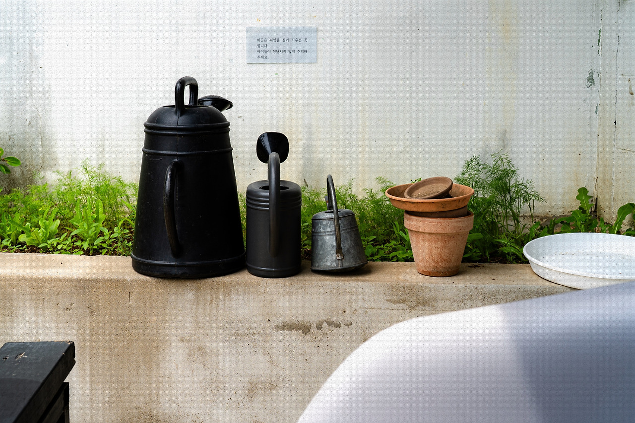 #summer #9 A7C03531.jpg