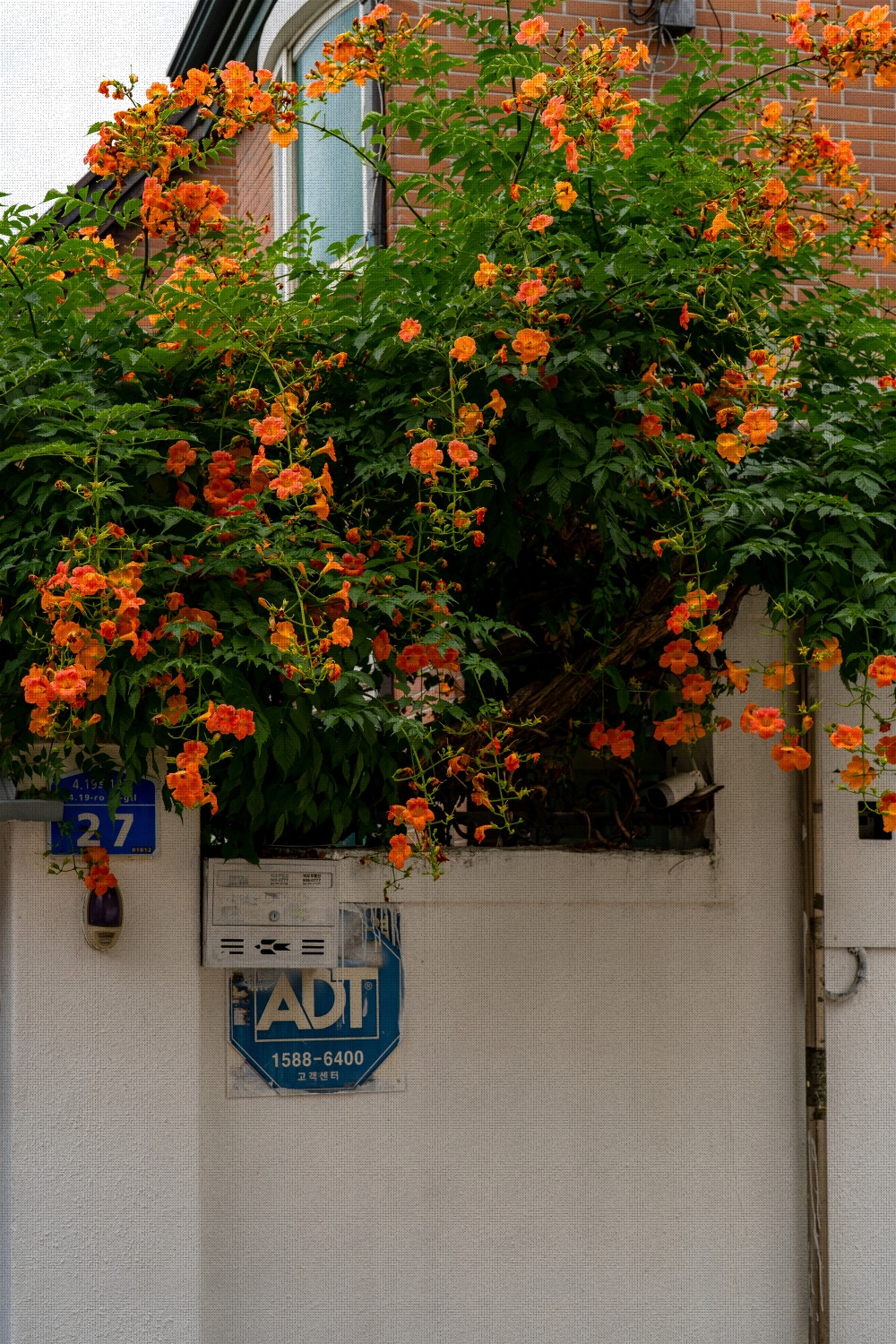 #summer #10 A7C03656.jpg