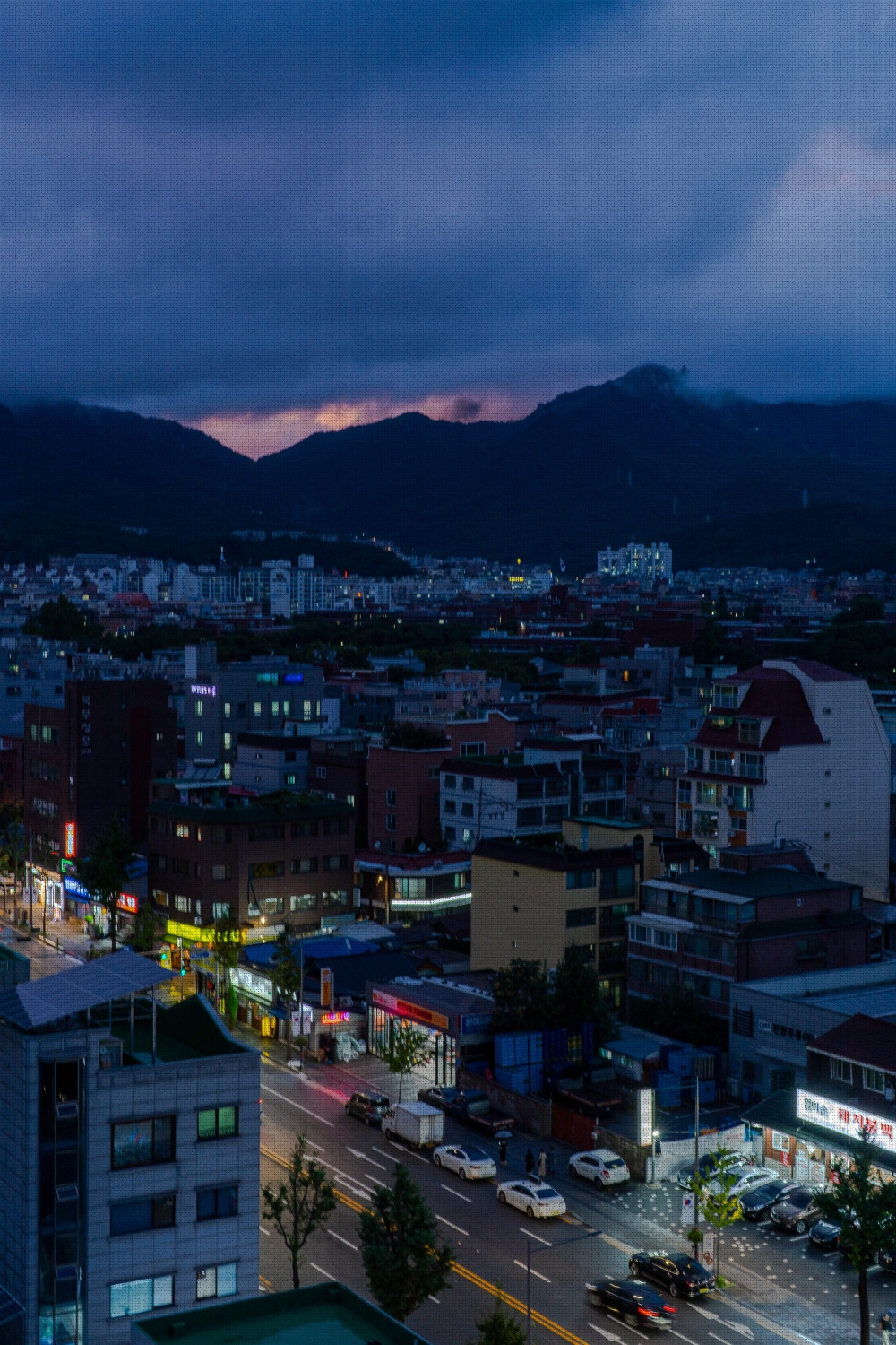 #summer #6 DSC05711.jpg