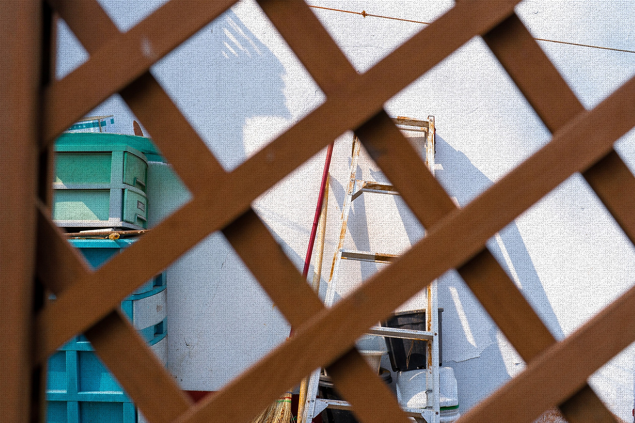 #spring #13 DSC02619.jpg