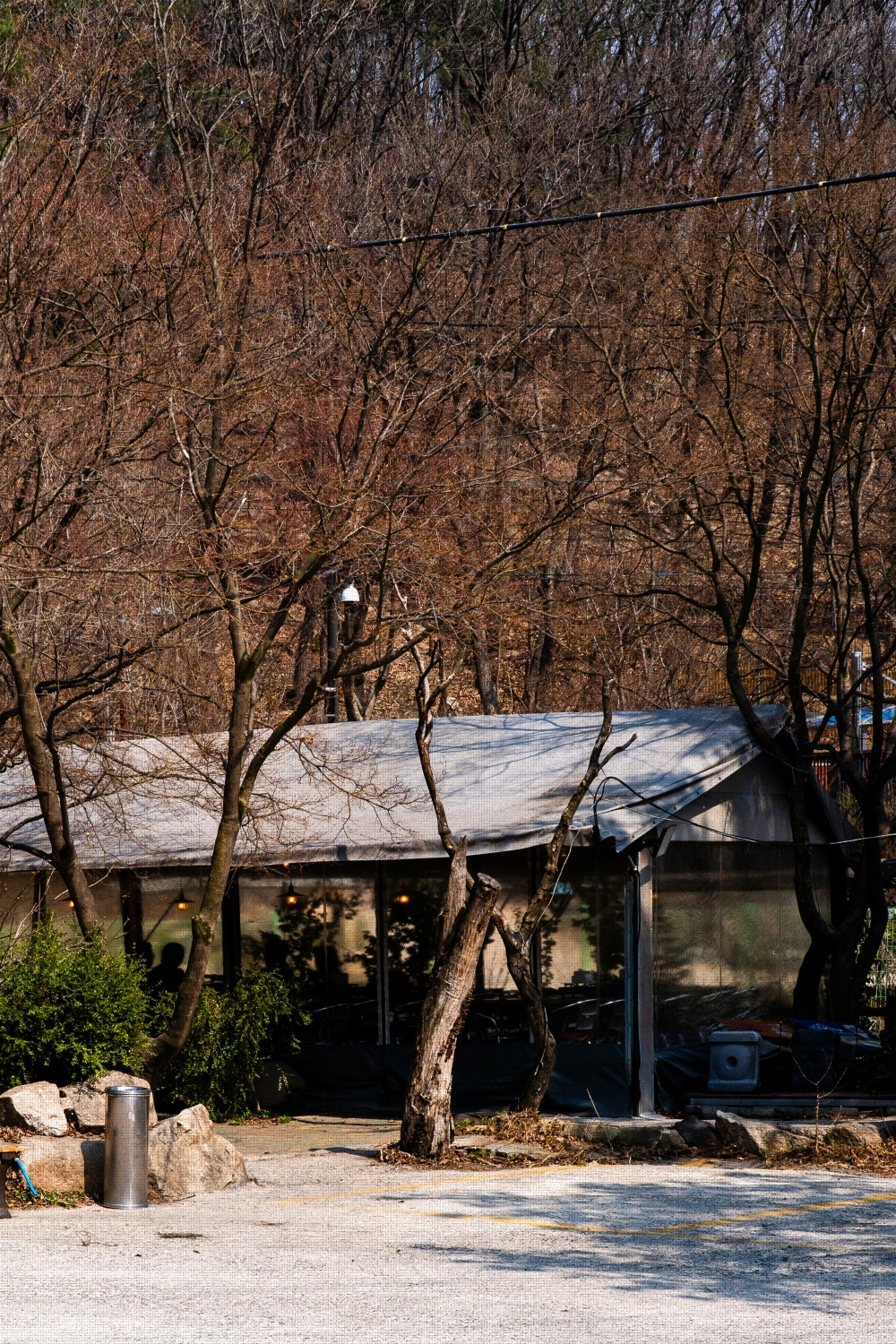 #spring #25 A7C02879.jpg