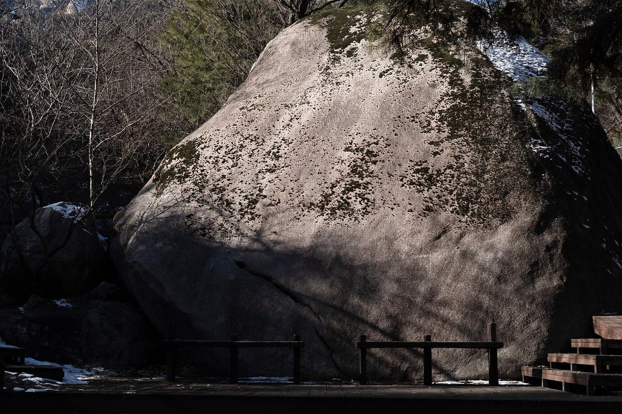 #winter #5 DSC07311.jpg