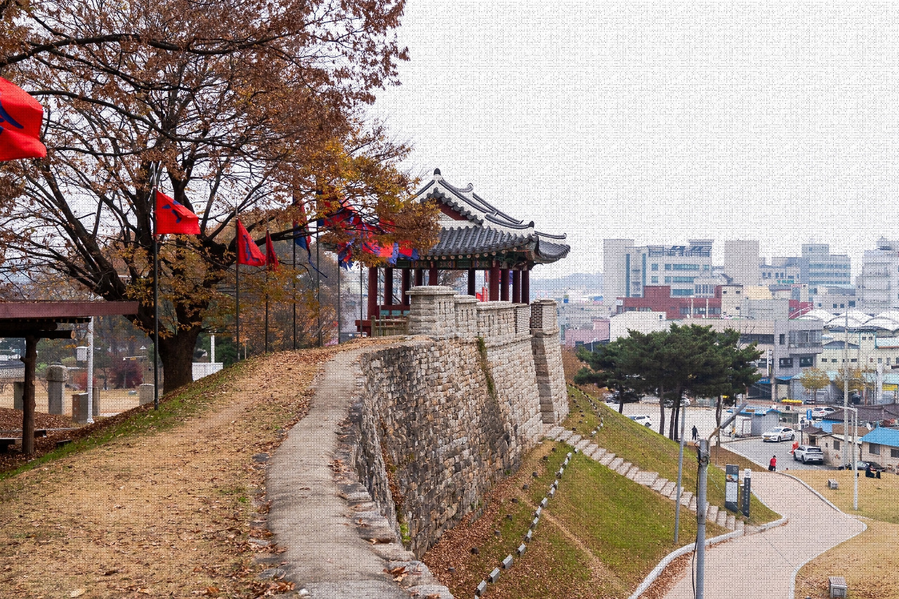 #autumn #8 A7C01568.jpg