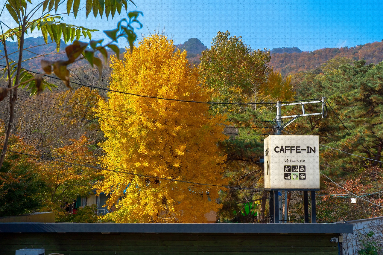 #autumn #22 DSC06495.jpg