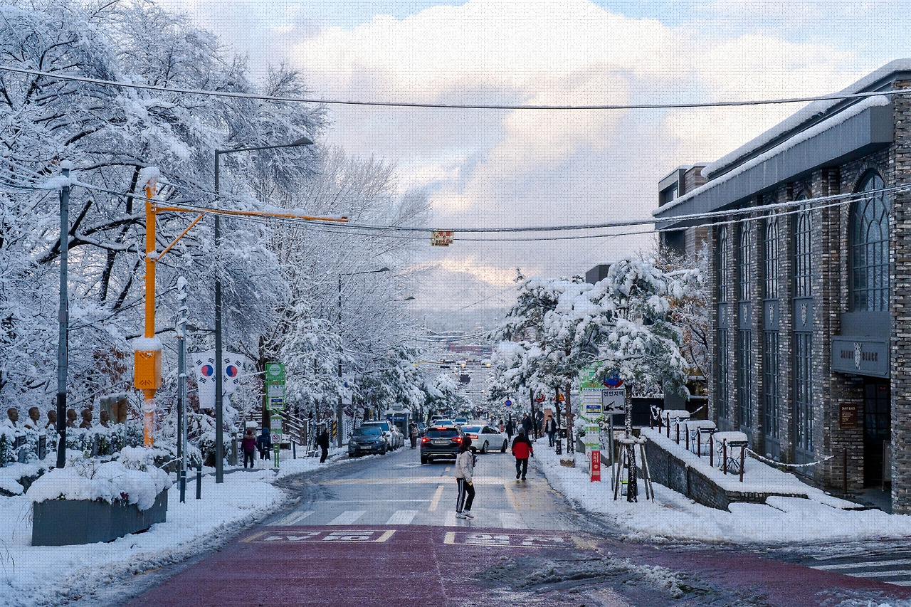 #winter #20 A7C01798.jpg