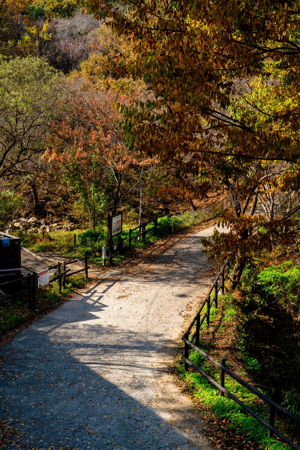 #autumn #23 DSC06507.jpg