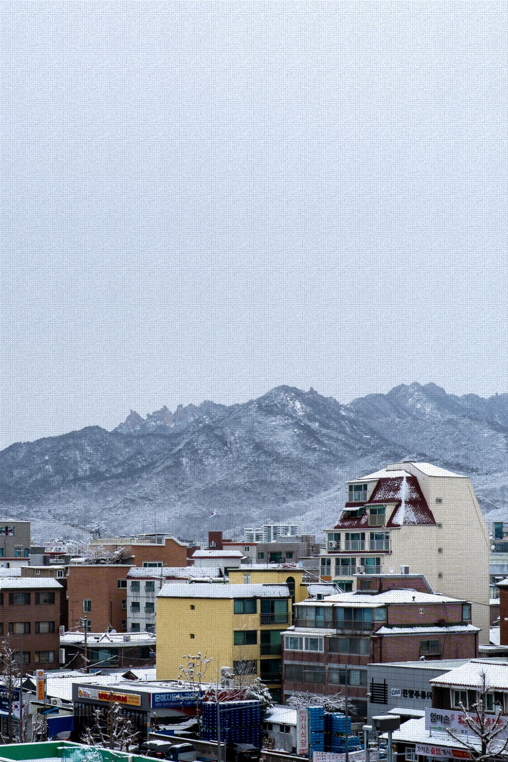 #winter #6 DSC07627.jpg