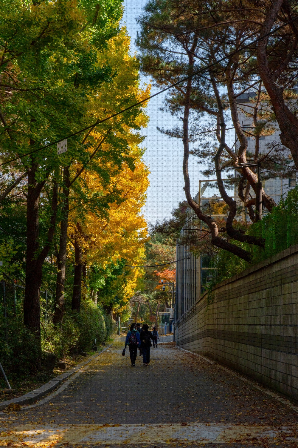 #autumn #20 DSC06548.jpg