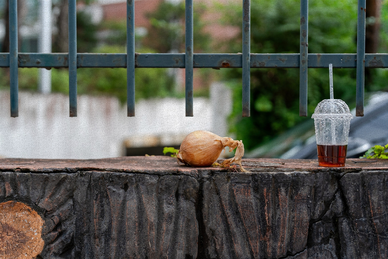 #autumn #9 DSC06022.jpg