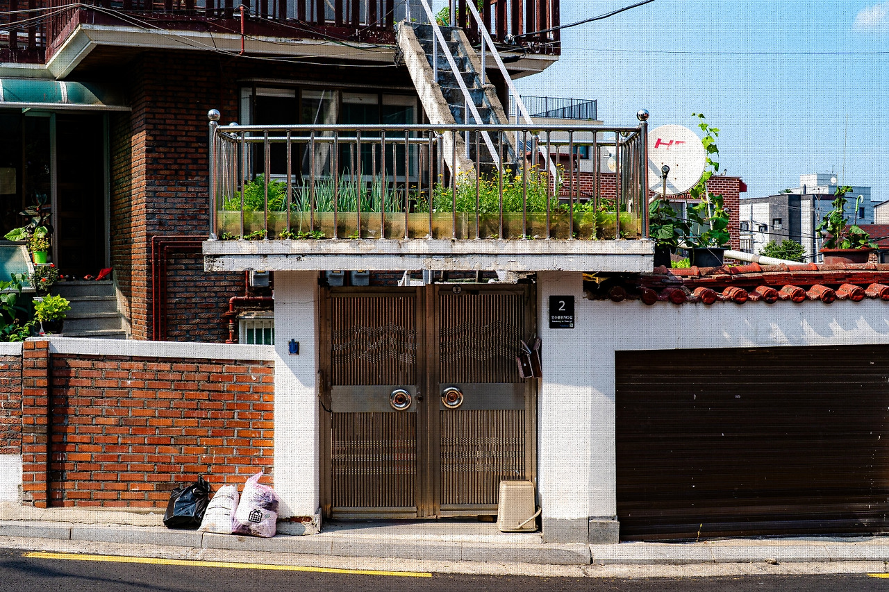 #summer #10 A7C03558.jpg