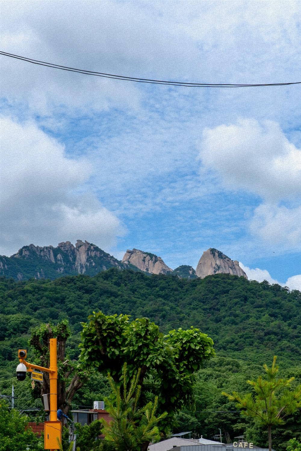 #summer #14 DSC04662.jpg