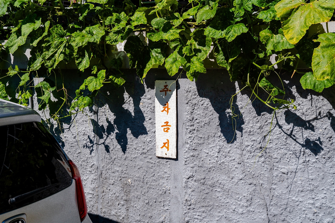 #autumn #15 A7C01062.jpg