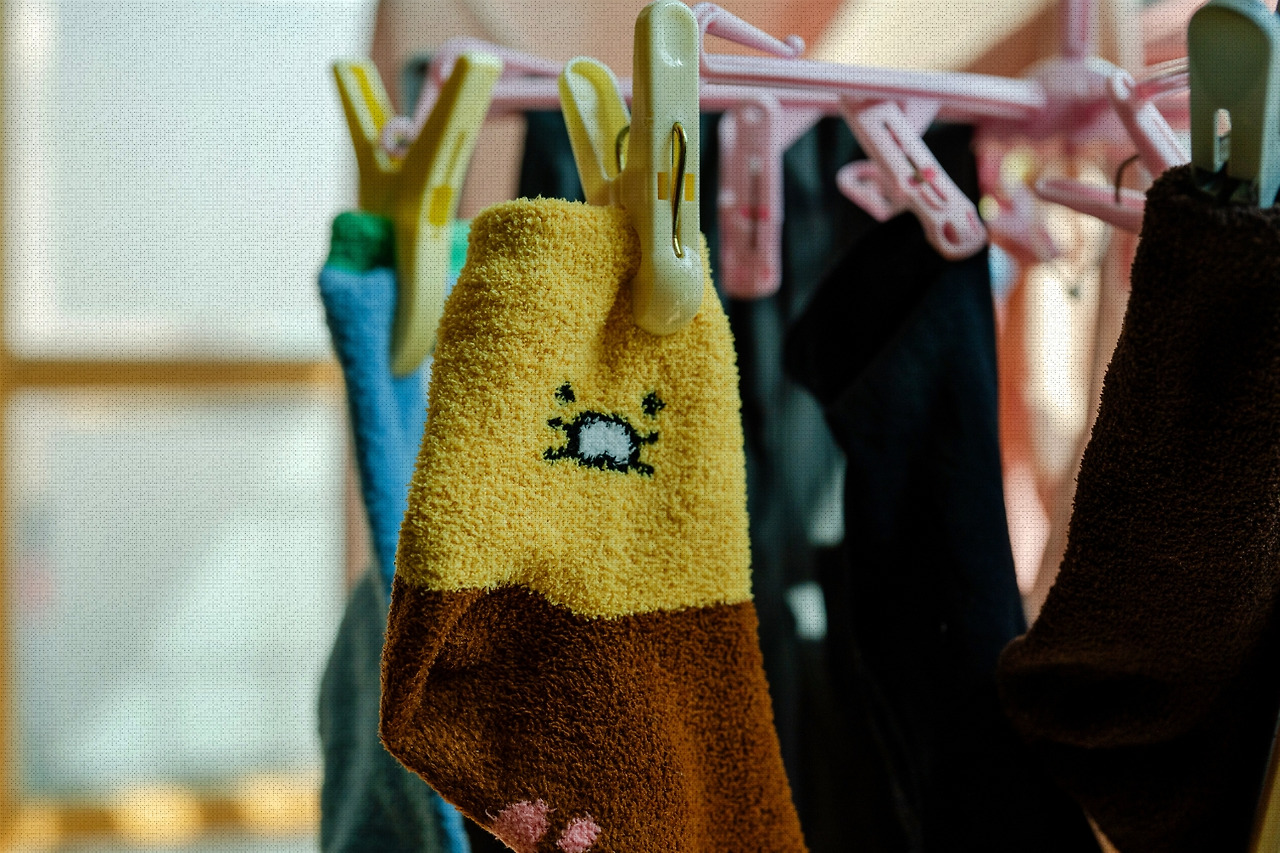 #winter #15 DSC07519.jpg