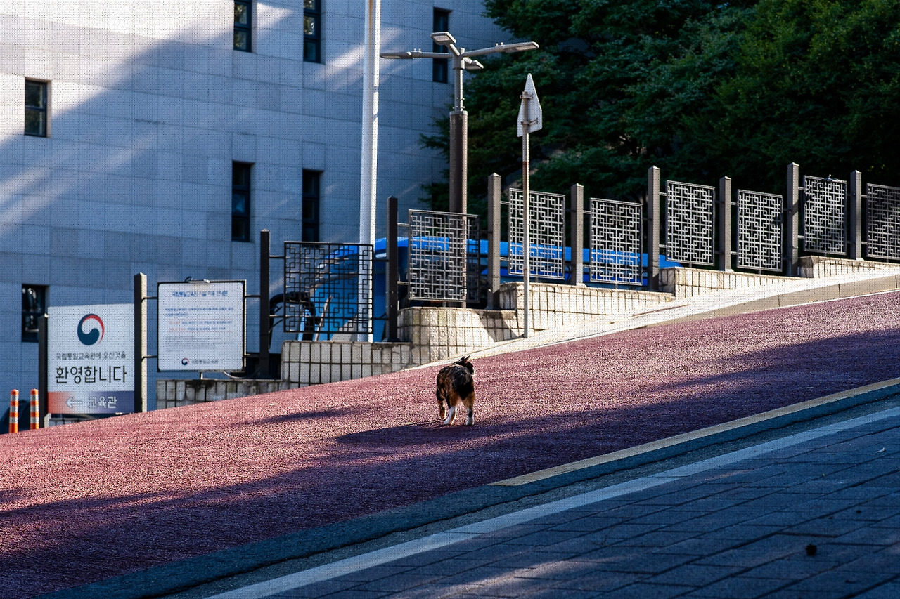 #autumn #20 A7C01188.jpg