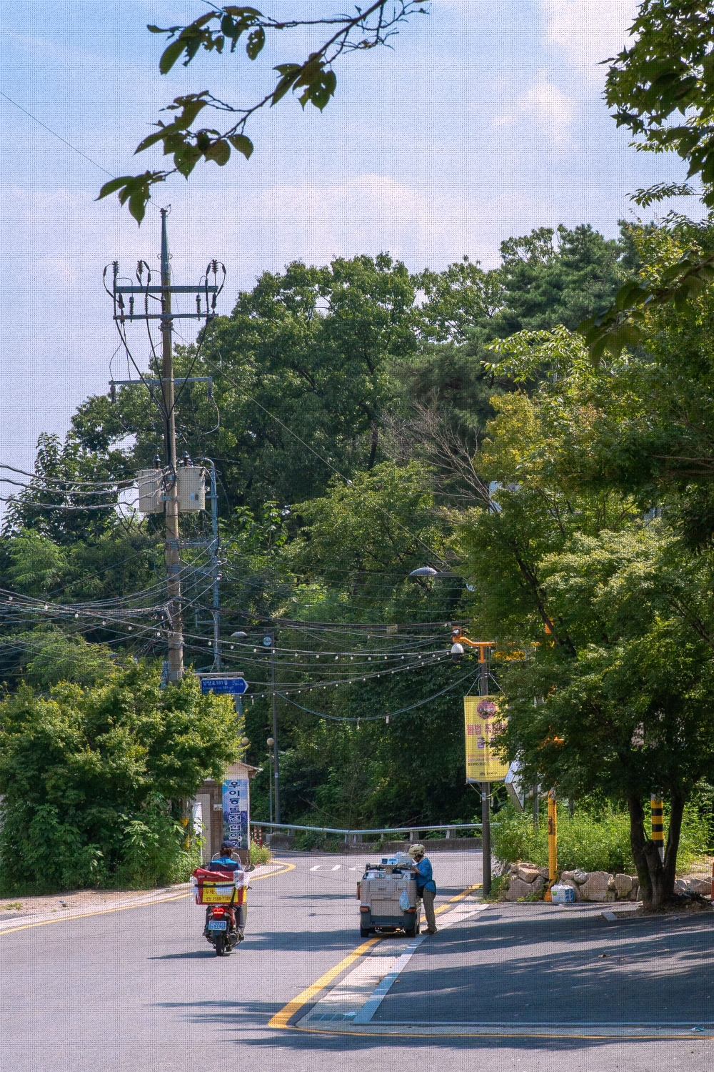 #summer #4 DSC05803.jpg