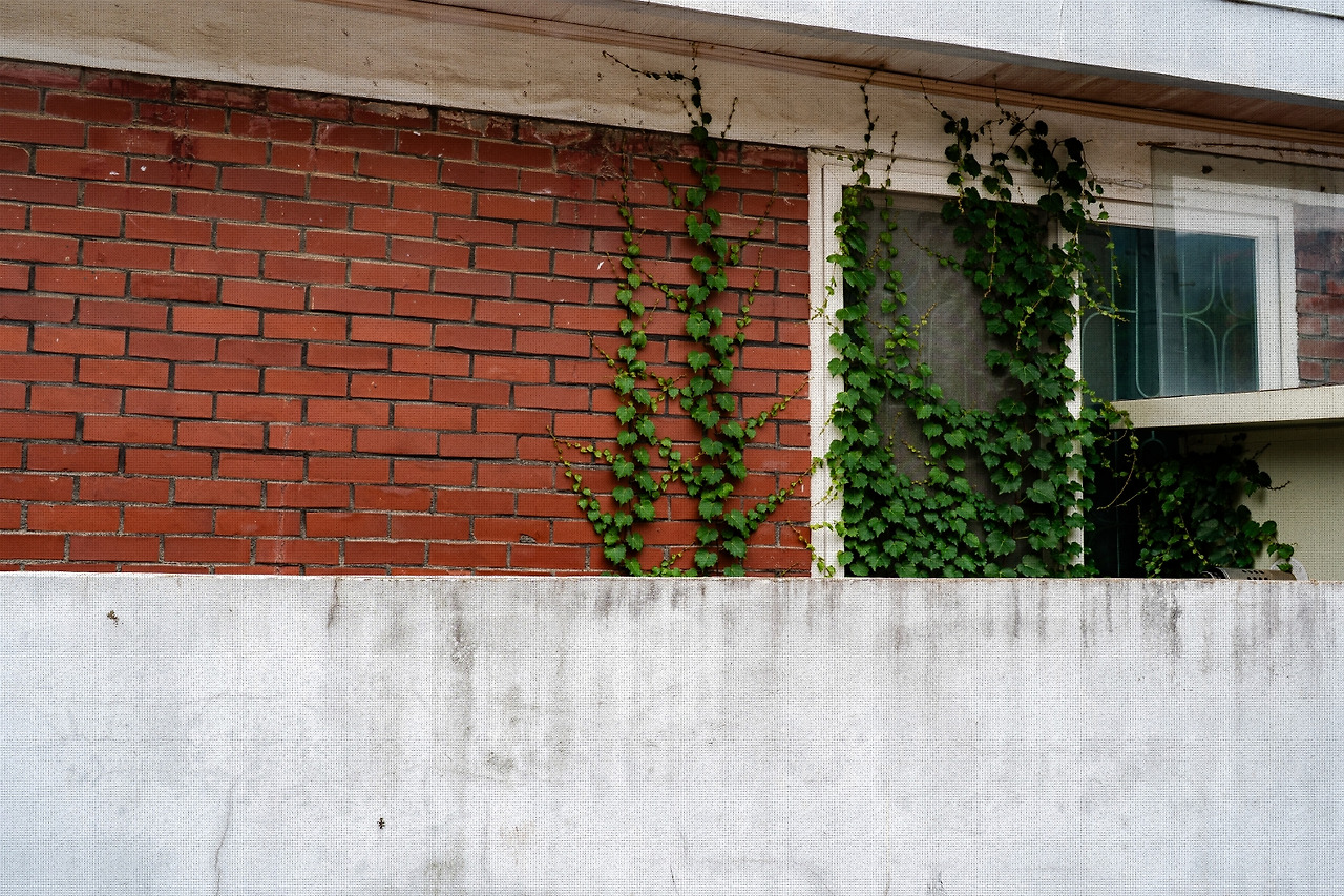 #summer #10 A7C03686.jpg