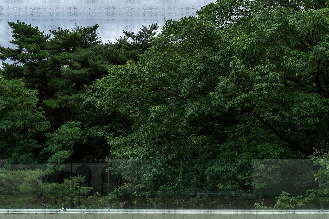 #summer #17 DSC05322.jpg