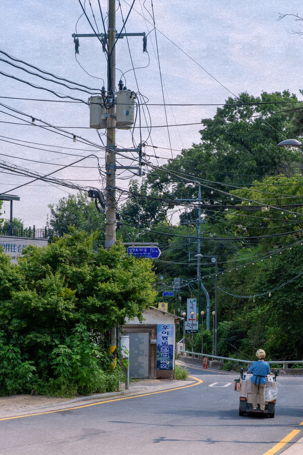 #summer #4 DSC05810.jpg