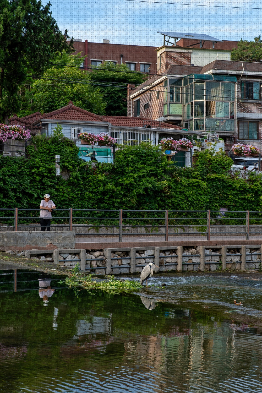 #spring #24 DSC04867.jpg