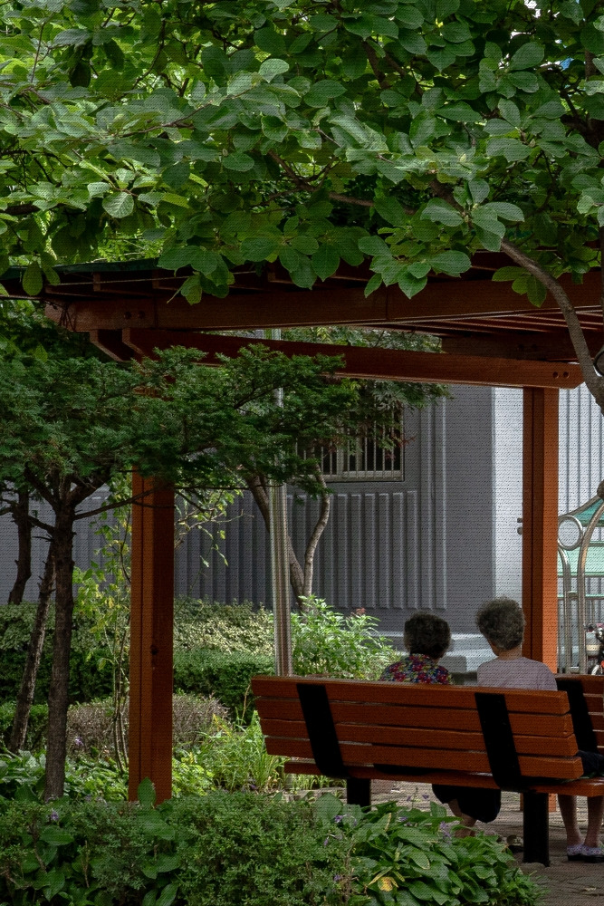 #spring #2 DSC05461.jpg