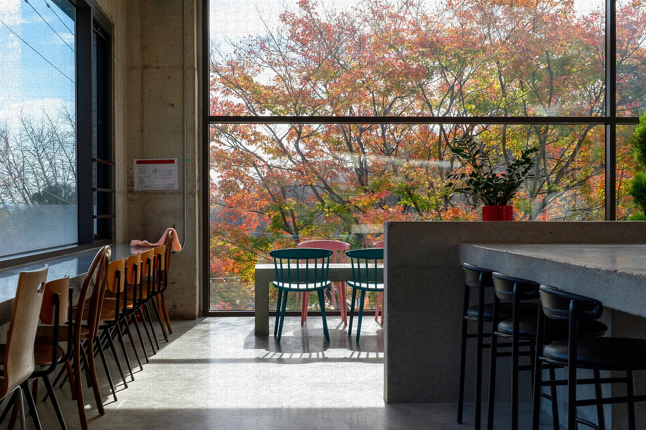 #autumn #19 DSC06594.jpg