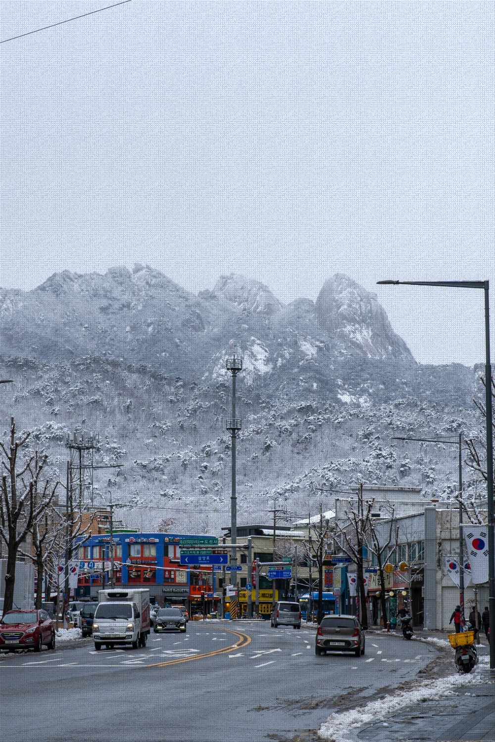 #winter #4 DSC07639.jpg