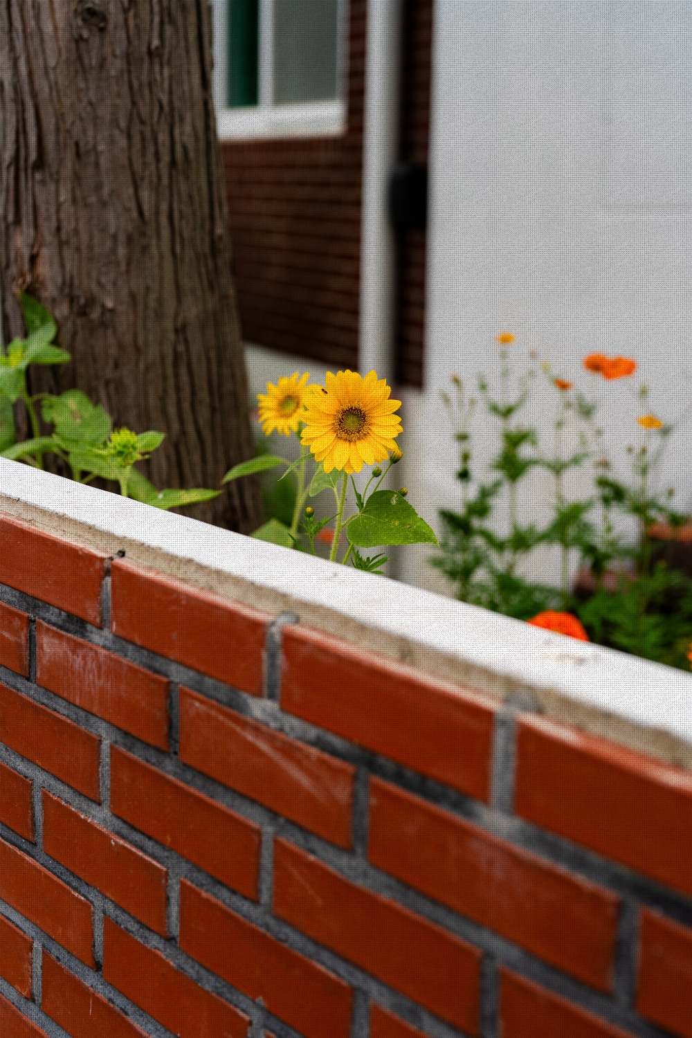 #summer #10 A7C03679.jpg