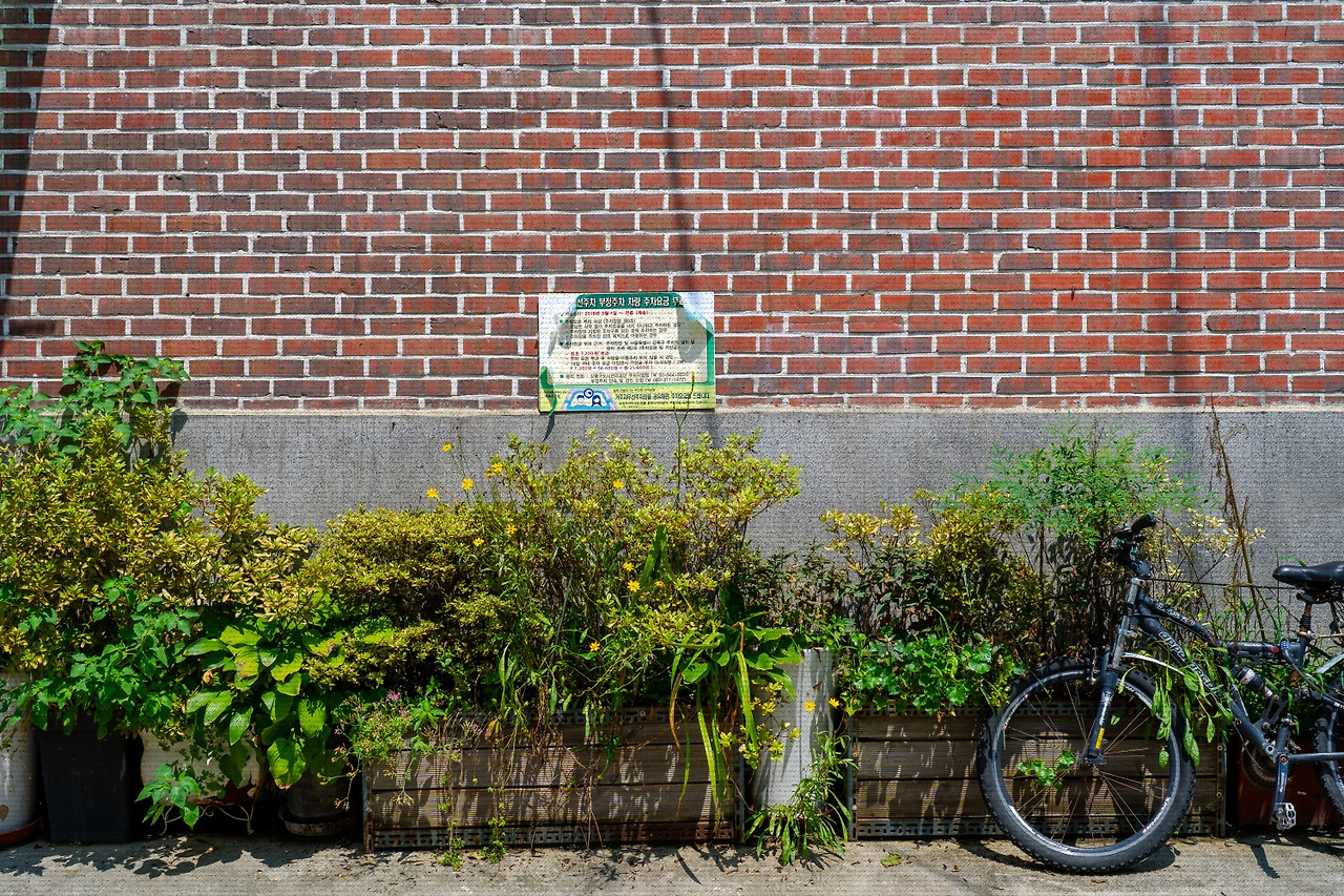 #spring #1 DSC05511.jpg