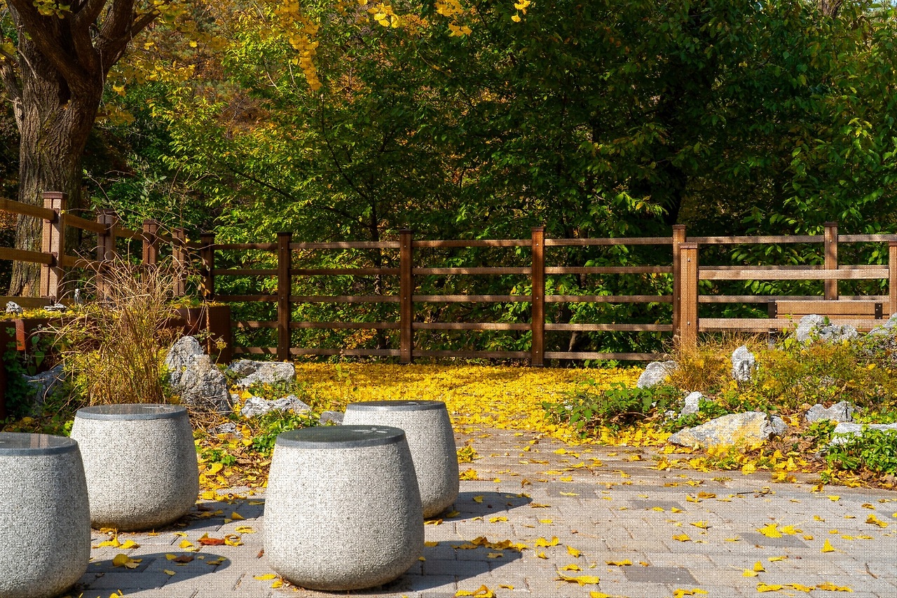 #autumn #16 DSC06501.jpg