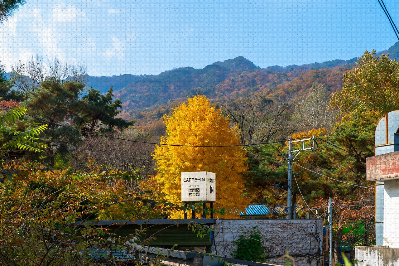 #autumn #22 DSC06494.jpg