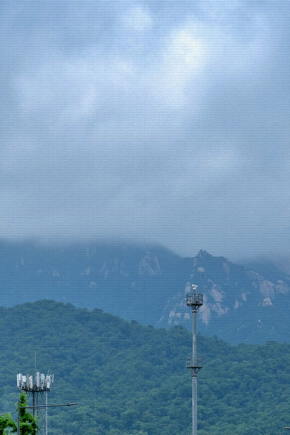 #spring #5 DSC05422.jpg